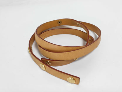 LOUIS VUITTON Monogram Florentine Waist Bag