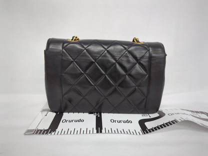 CHANEL Lambskin Diana Flap 22 Shoulder Bag, No. 2