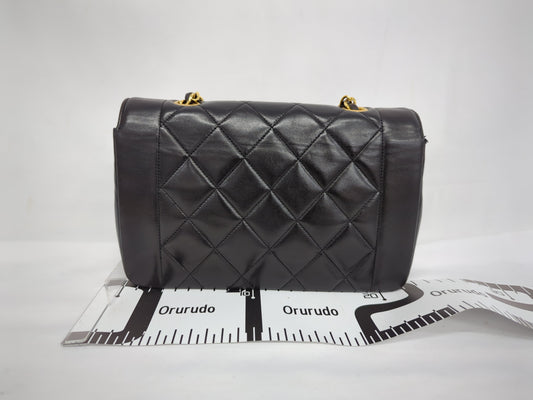 CHANEL Lambskin Diana Flap 22 Shoulder Bag, No. 2
