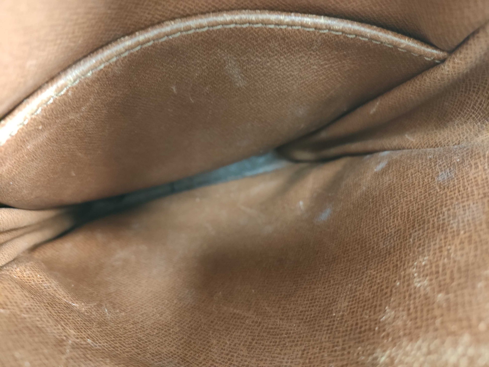 LOUIS VUITTON Monogram Danube Shoulder Bag