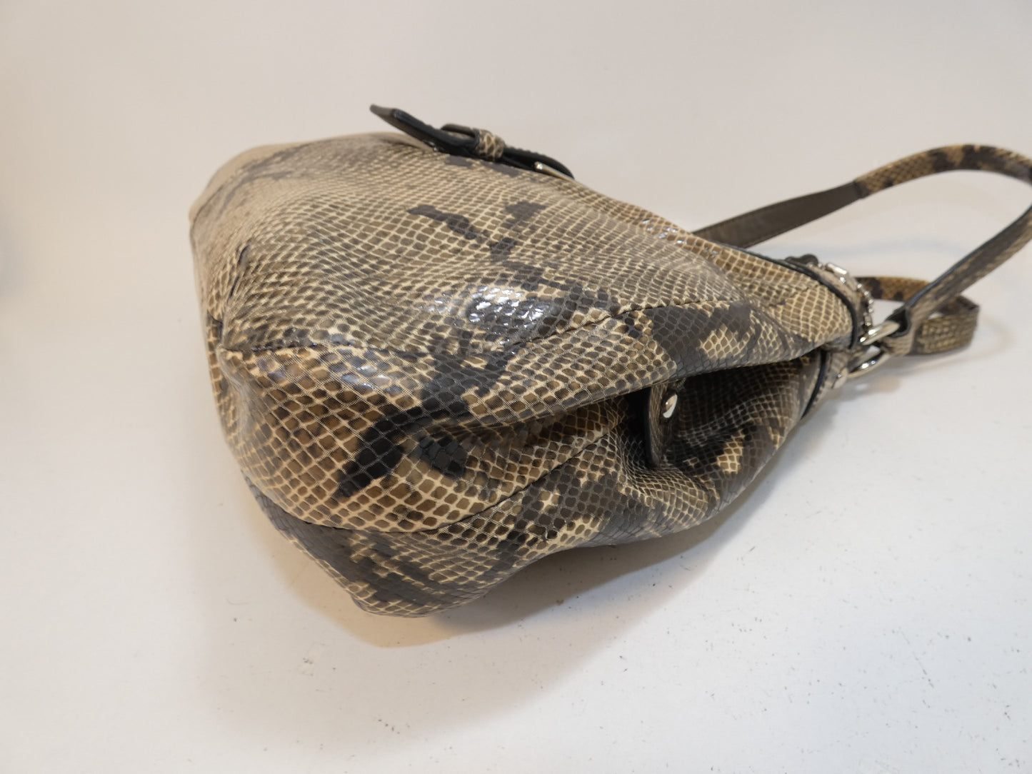 COACH Python Print Front Belt Handbag