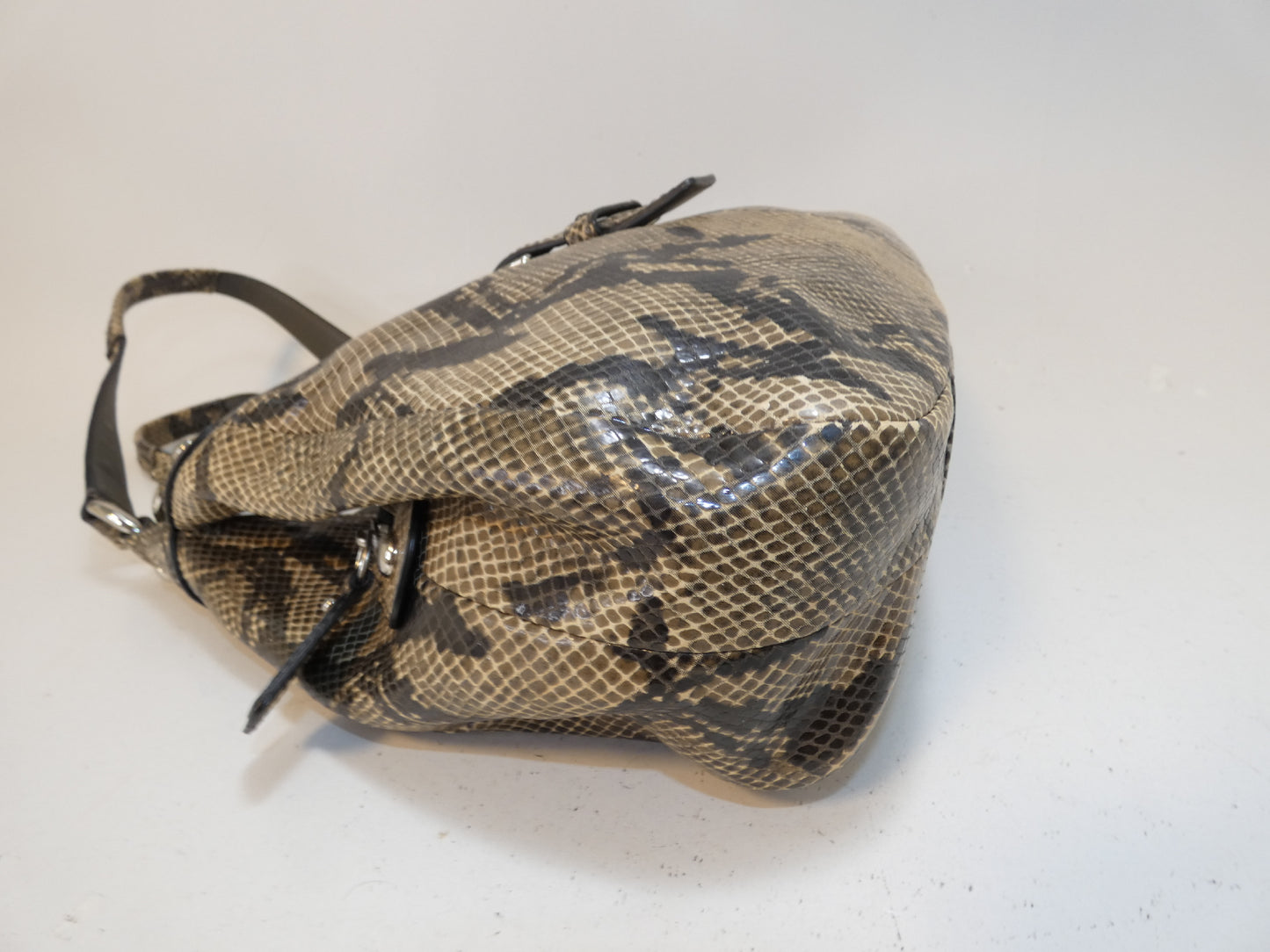 COACH Python Print Front Belt Handbag
