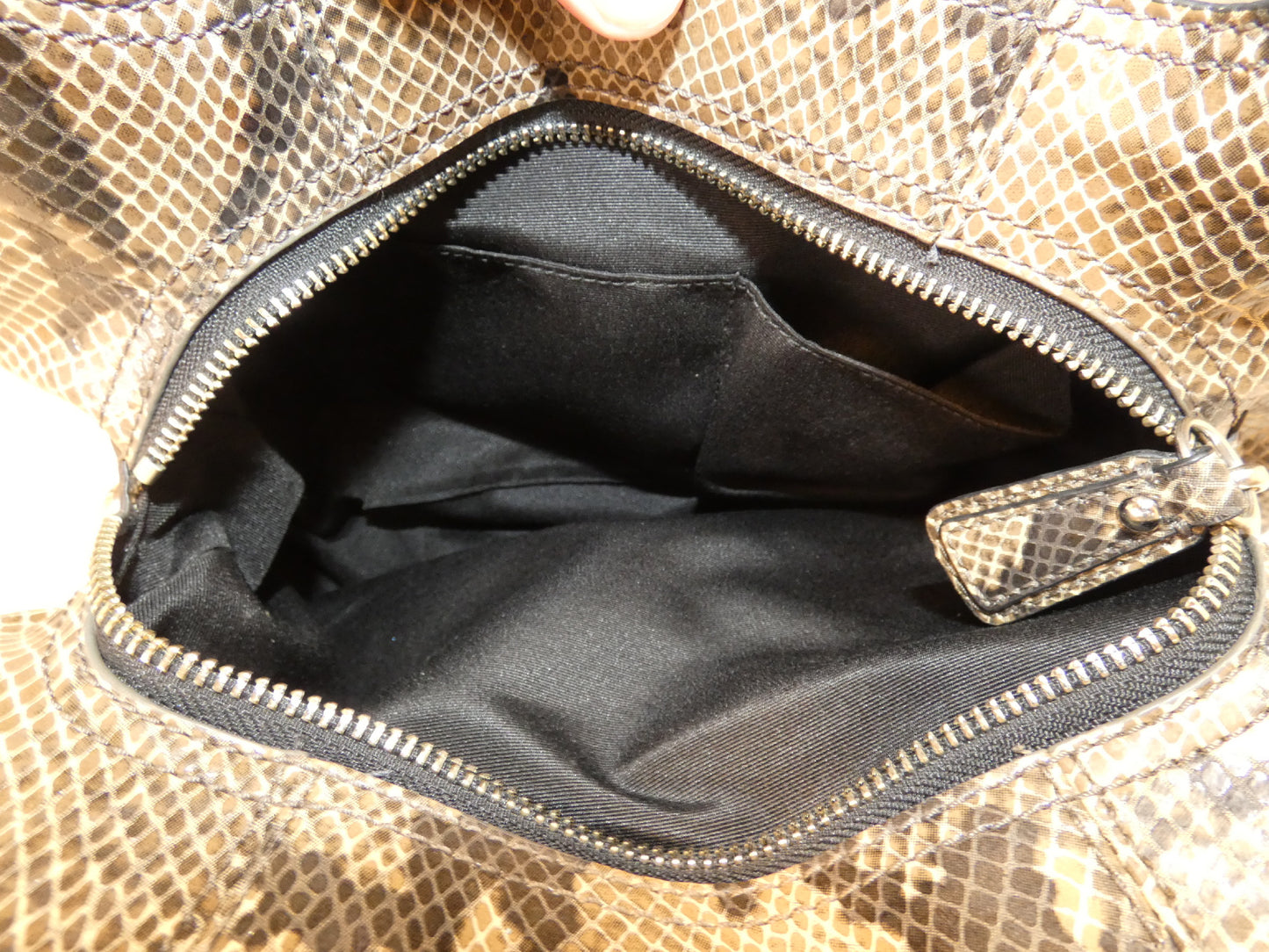 COACH Python Print Front Belt Handbag