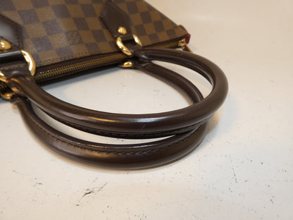 LOUIS VUITTON Saleya PM Damier Handbag