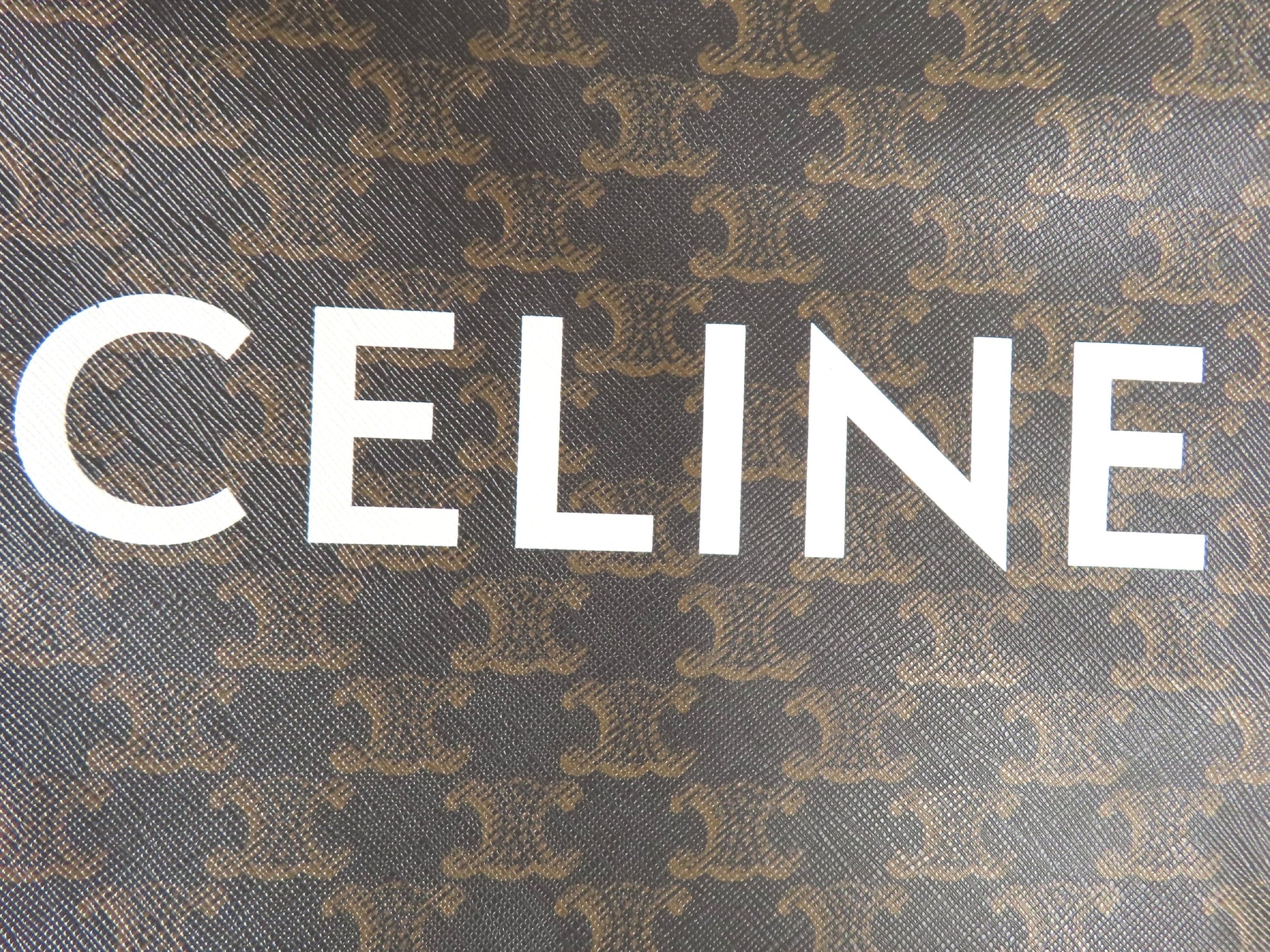 CELINE Vertical Cabas Tote Bag Tote Bag