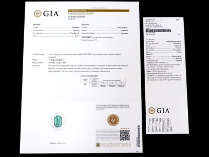 E2.619ct Diamond Plat 10.2g Ring 