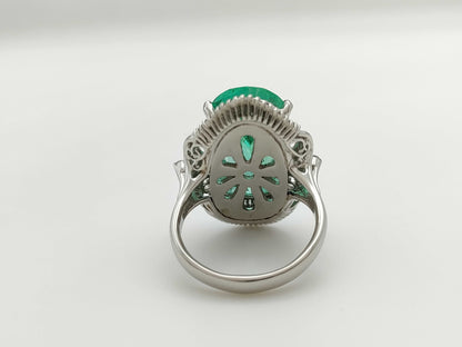 E7.09ct D1.18ct PT900 12.3g Ring 