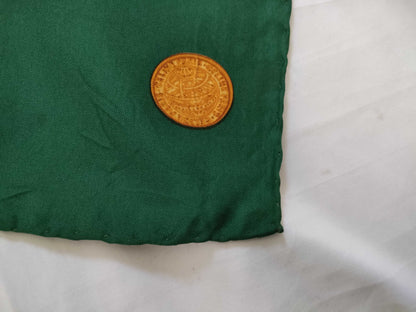 CELINE Silk Scarf Green x Yellow Other Accessories