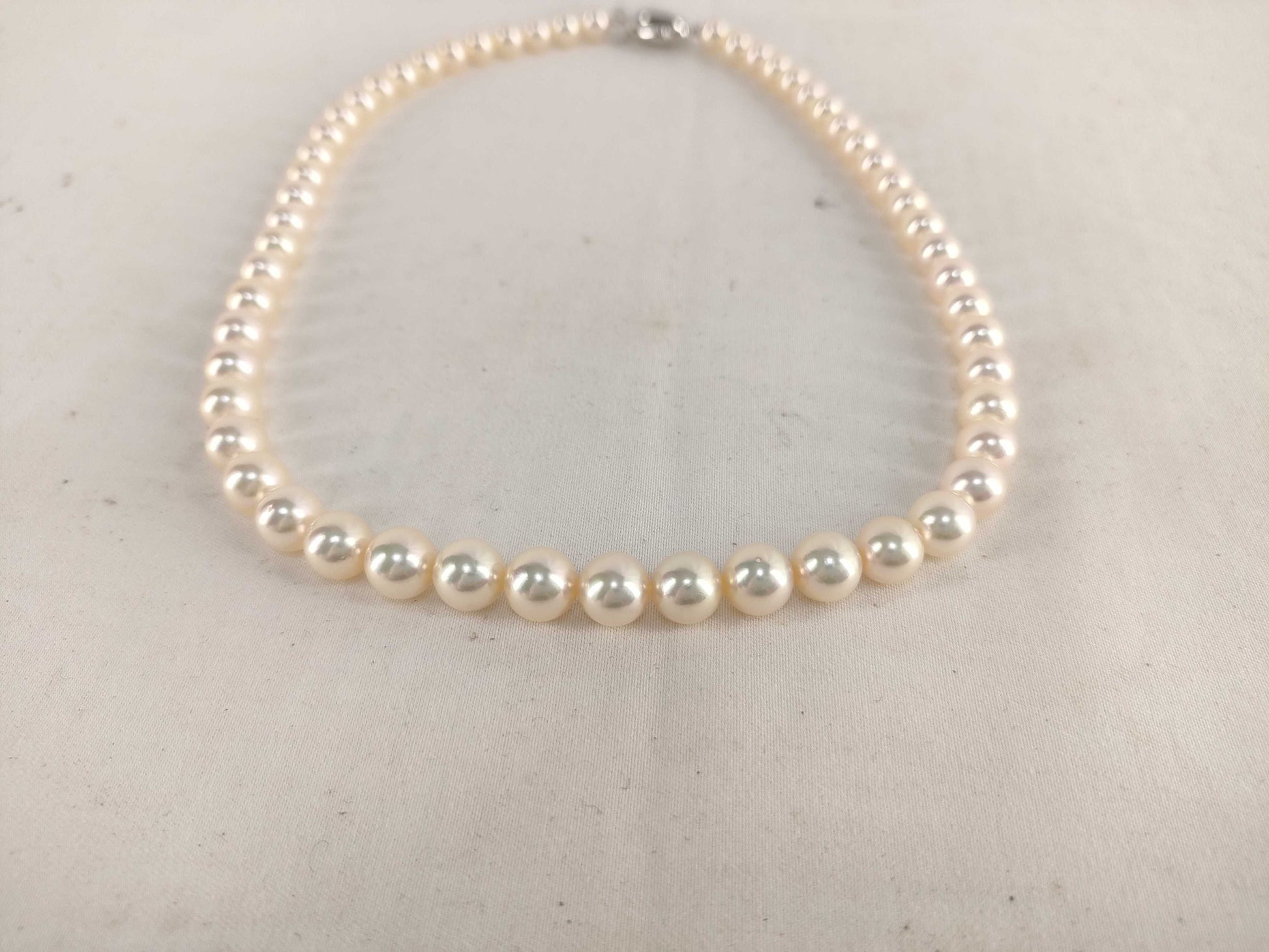 TASAKI Pearl Necklace SV925 Silver Necklace
