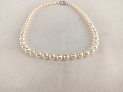 TASAKI Pearl Necklace SV925 Silver Necklace