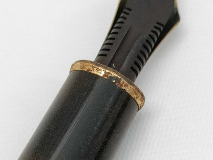 Platinum 14K Fountain Pen Pens & Fountain Pens