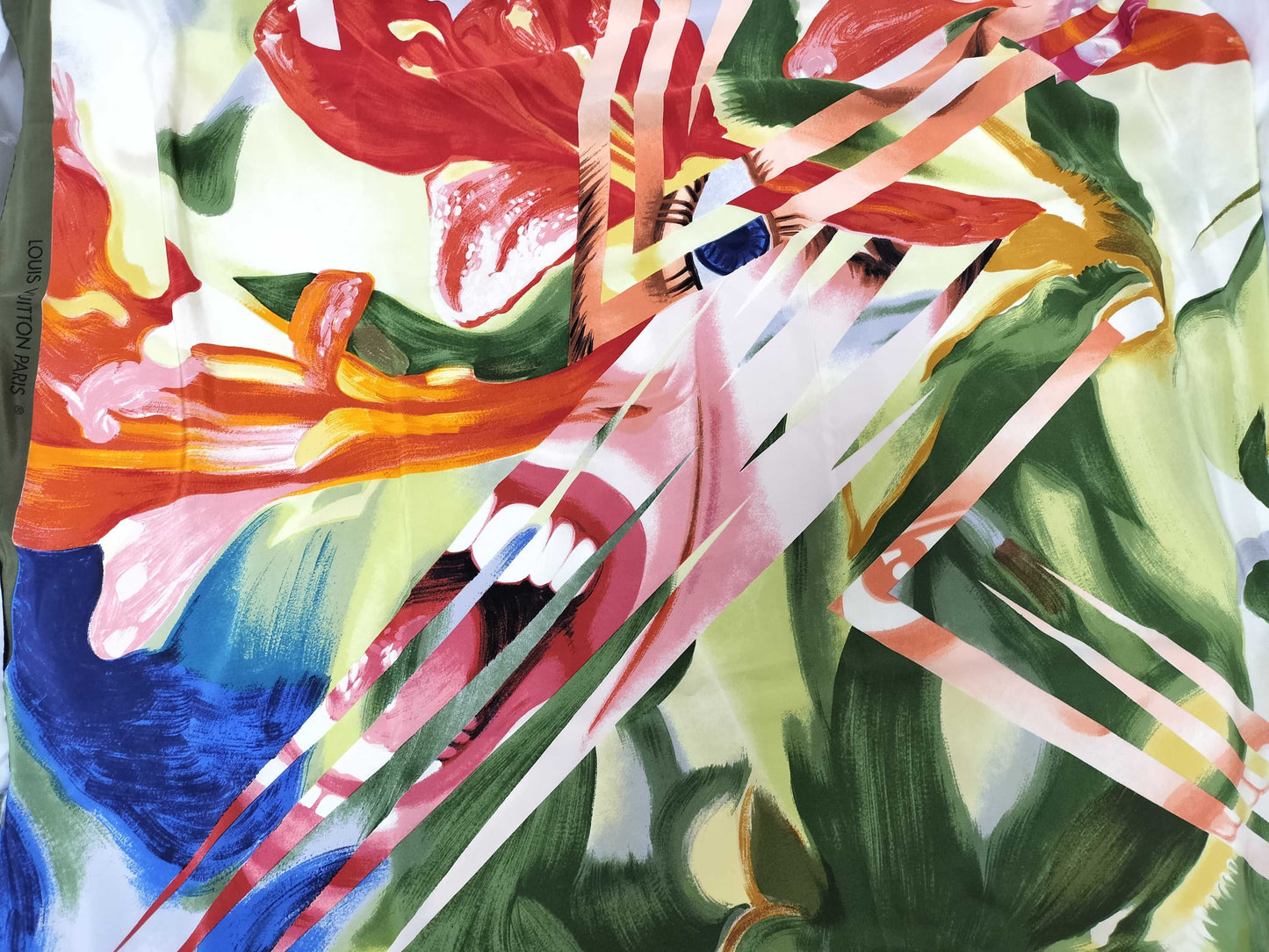 LOUIS VUITTON Large Scarf James Rosenquist Other Accessories