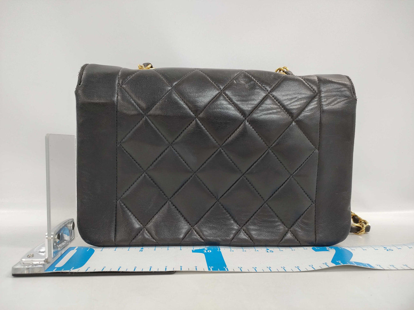 CHANEL CHANEL Diana 22 Shoulder Bag