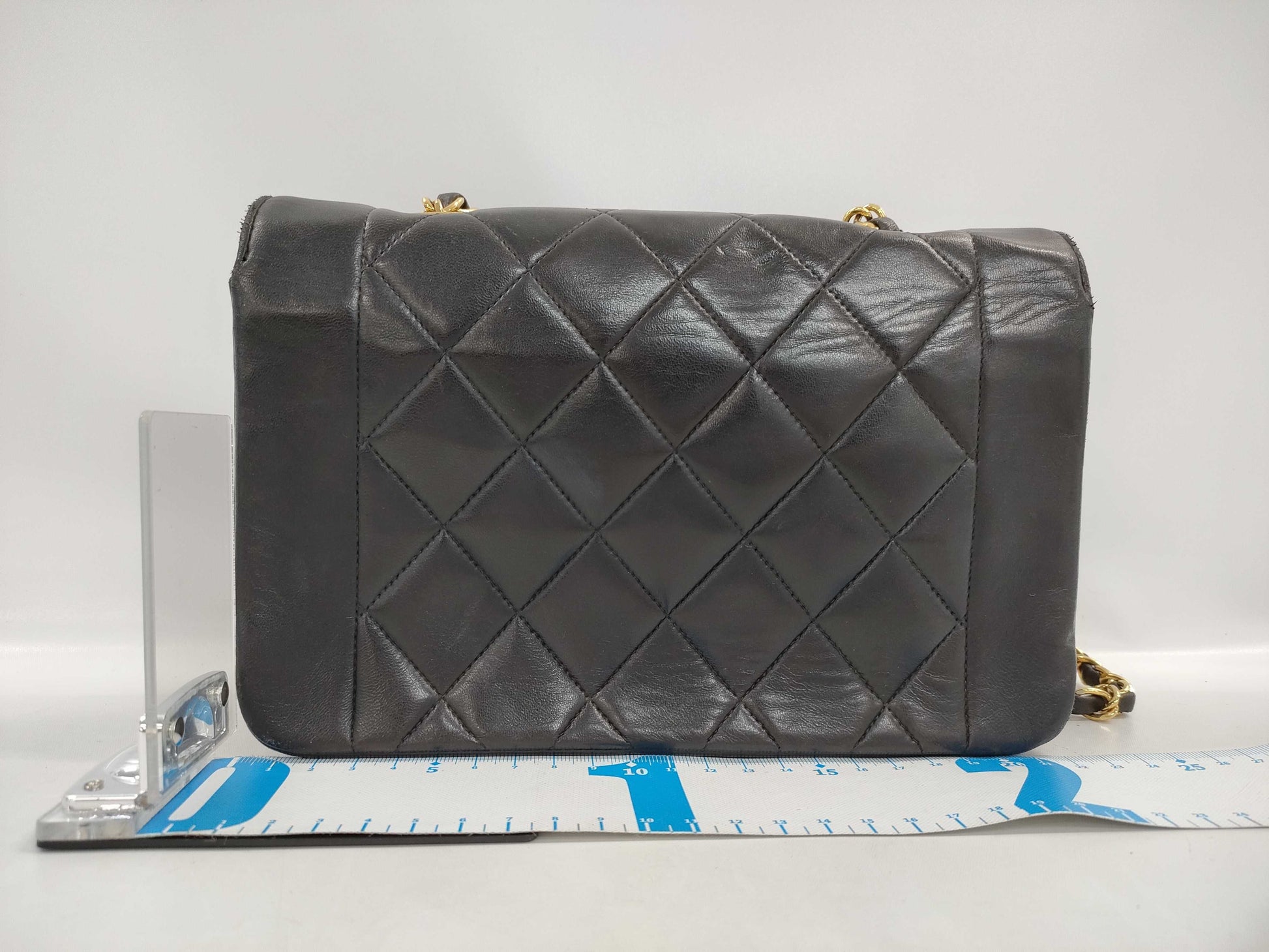 CHANEL CHANEL Diana 22 Shoulder Bag