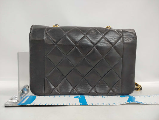 CHANEL CHANEL Diana 22 Shoulder Bag