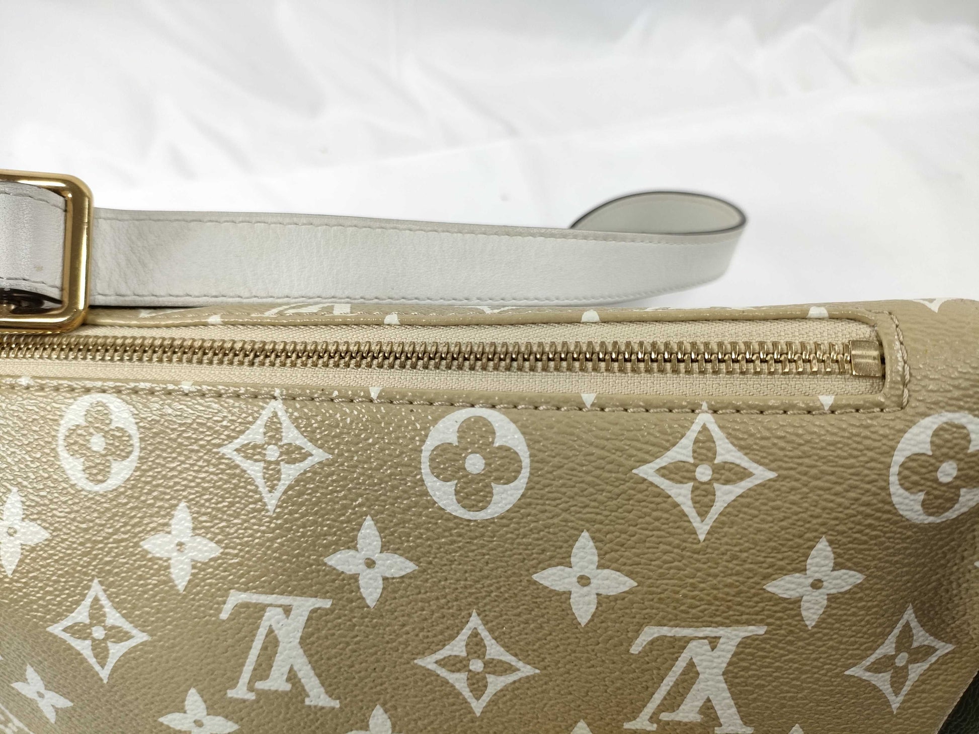 LOUIS VUITTON LOUIS VUITTON Bum Bag Waist Bag