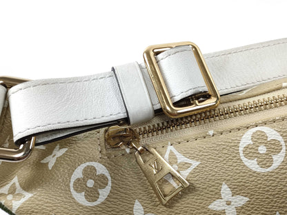 LOUIS VUITTON LOUIS VUITTON Bum Bag Waist Bag