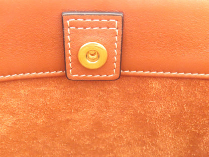 CELINE Triomphe Cuir Bucket A-Rank Shoulder Bag