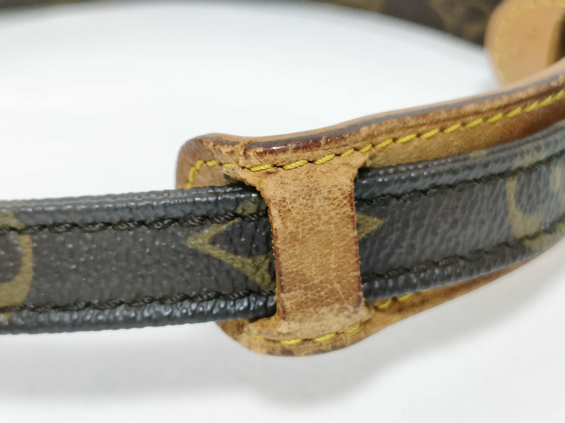 LOUIS VUITTON Monogram LV Monogram Amazon Shoulder Bag