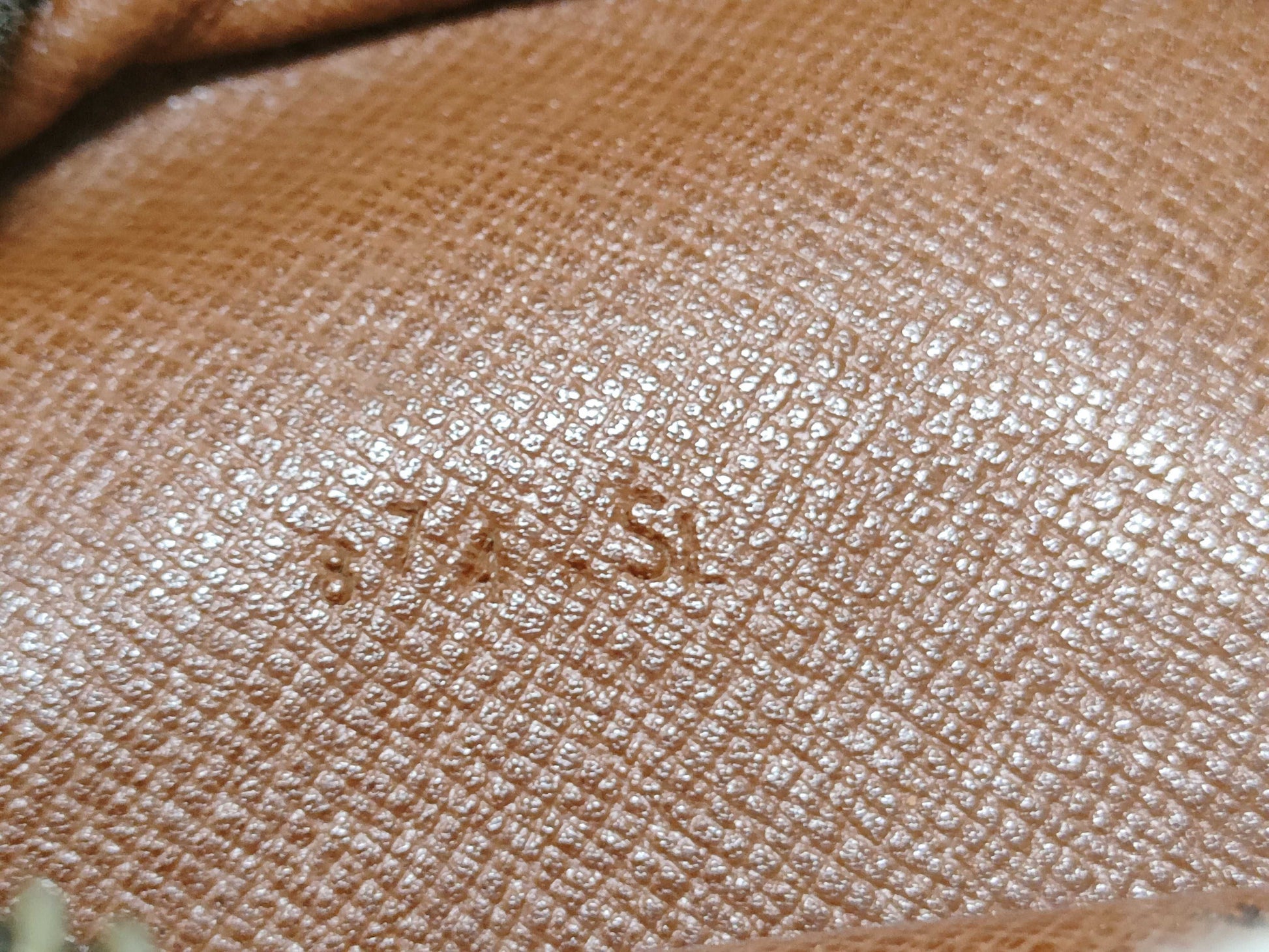 LOUIS VUITTON Monogram LV Monogram Amazon Shoulder Bag