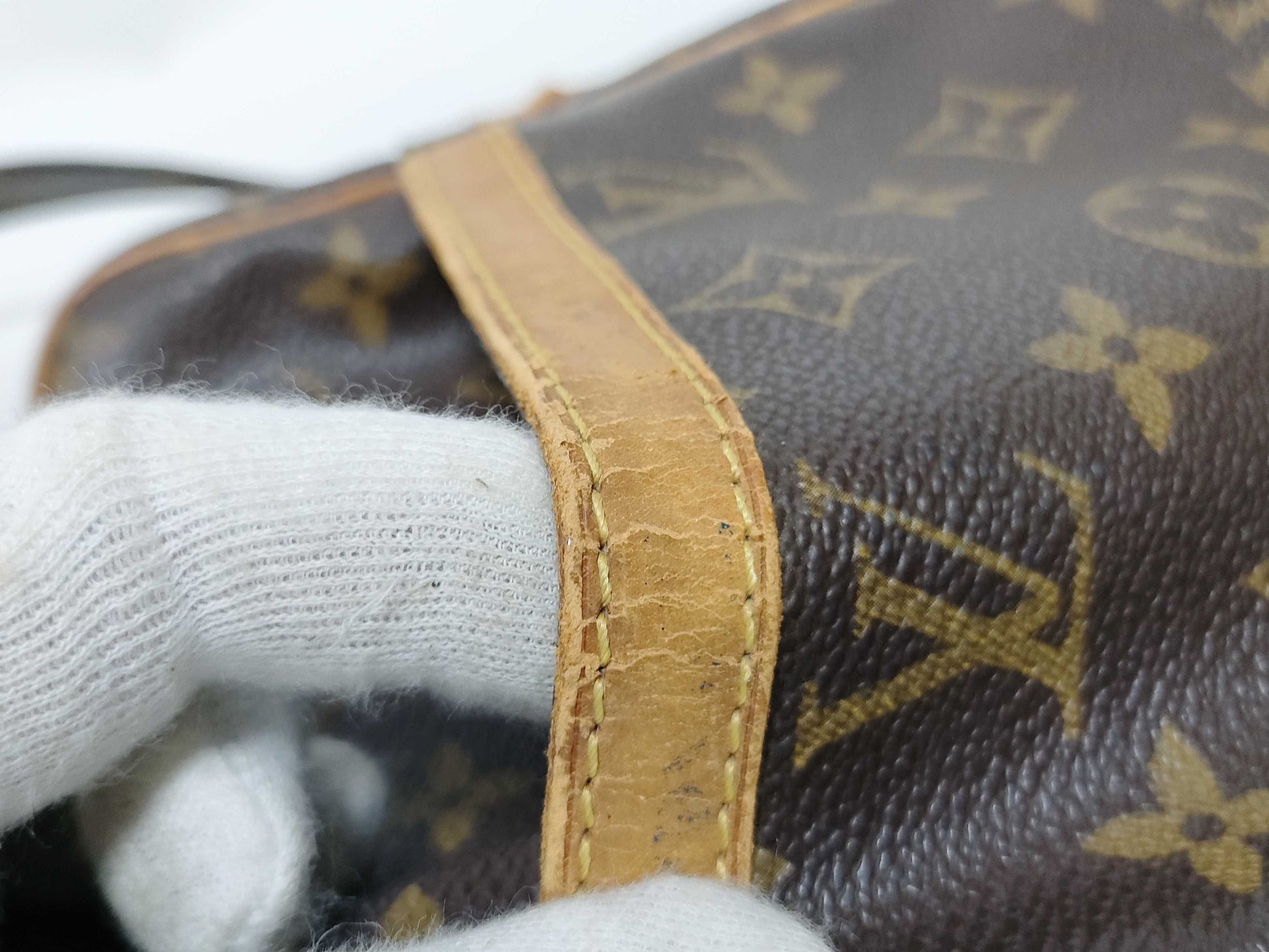 LOUIS VUITTON Monogram LV Monogram Amazon Shoulder Bag