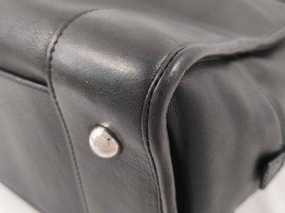 LOEWE Amazona Boston Bag