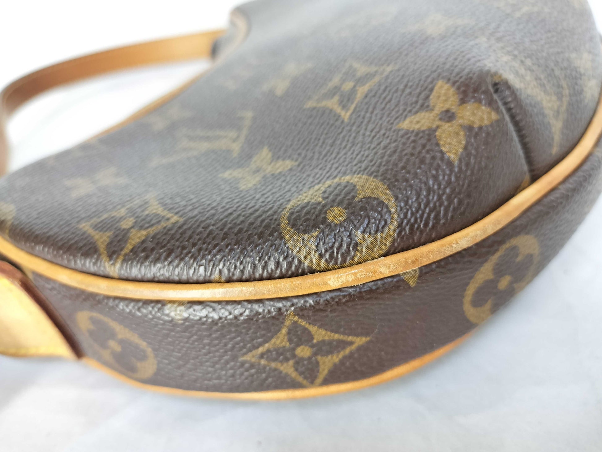 LOUIS VUITTON Unconfirmed Monogram LV Mono Pochette Croissant Handbag