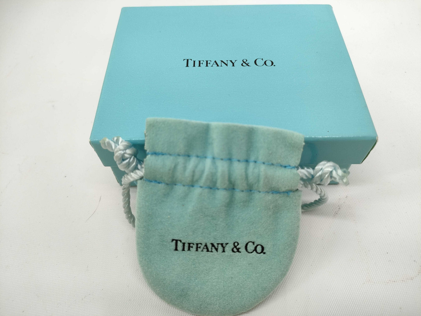 Tiffany & Co. Leaf 925 2.8g Necklace