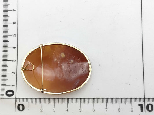 Cameo 585 10.5g Brooch 