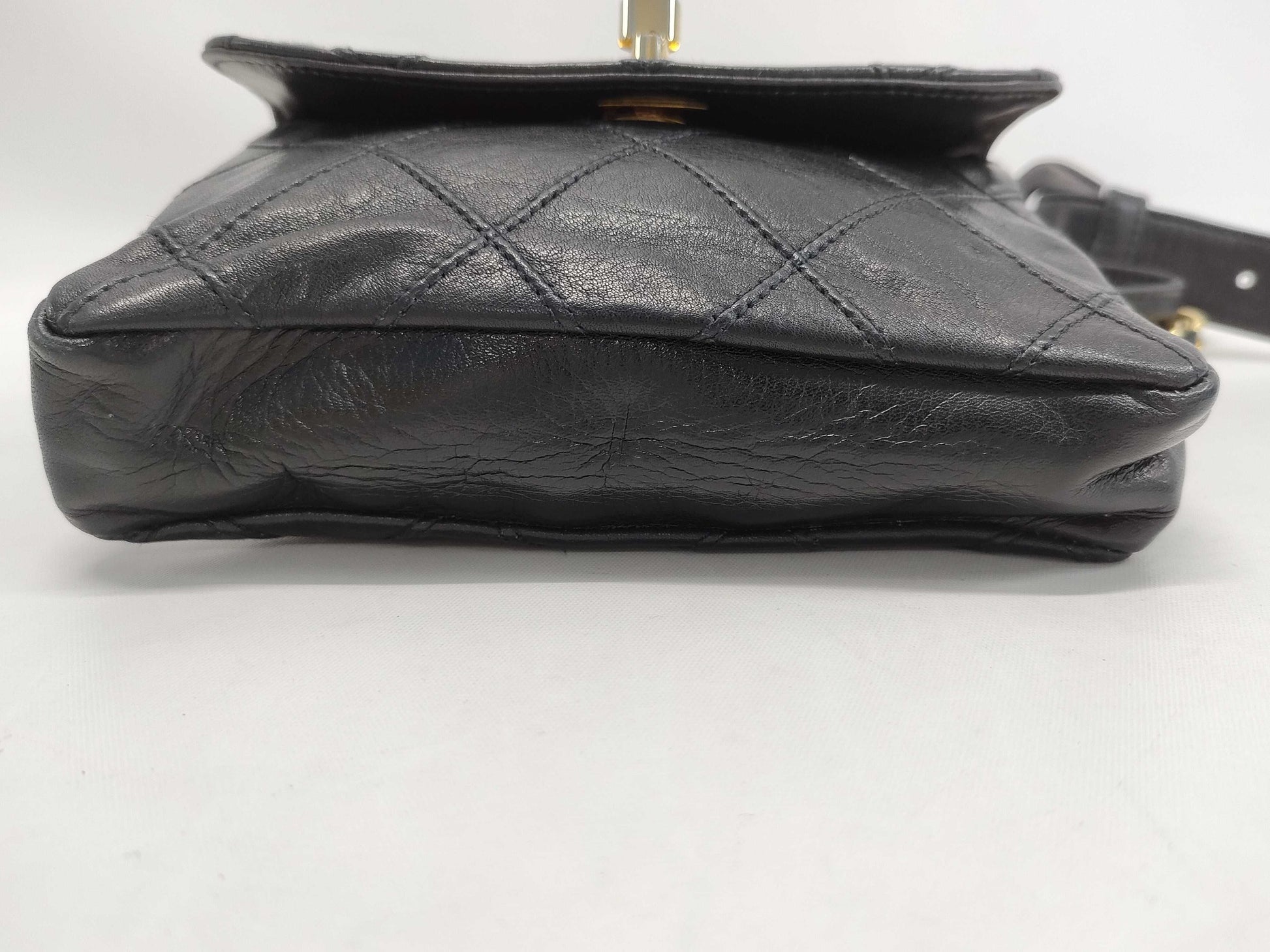 CHANEL Bicolore Lambskin Waist Bag