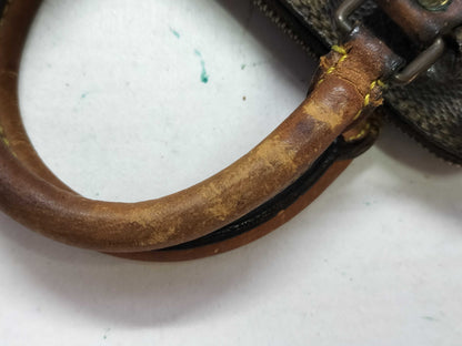 LOUIS VUITTON Monogram Louis Vuitton Monogram Mini Speedy Handbag