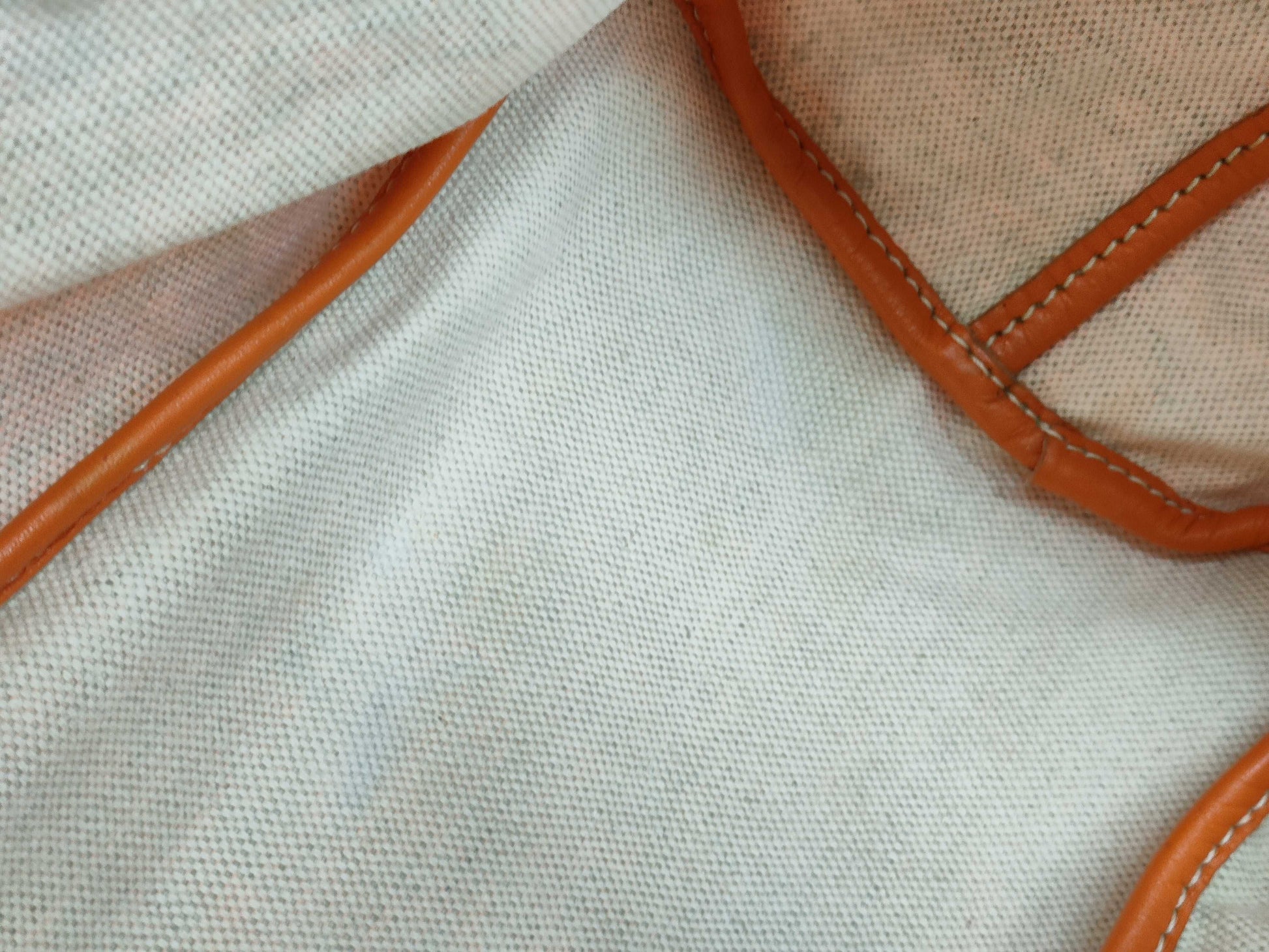 GOYARD GOYARD Saint Louis PM Tote Bag Orange Tote Bag
