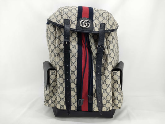 GUCCI Ophidia Large Backpack 598140