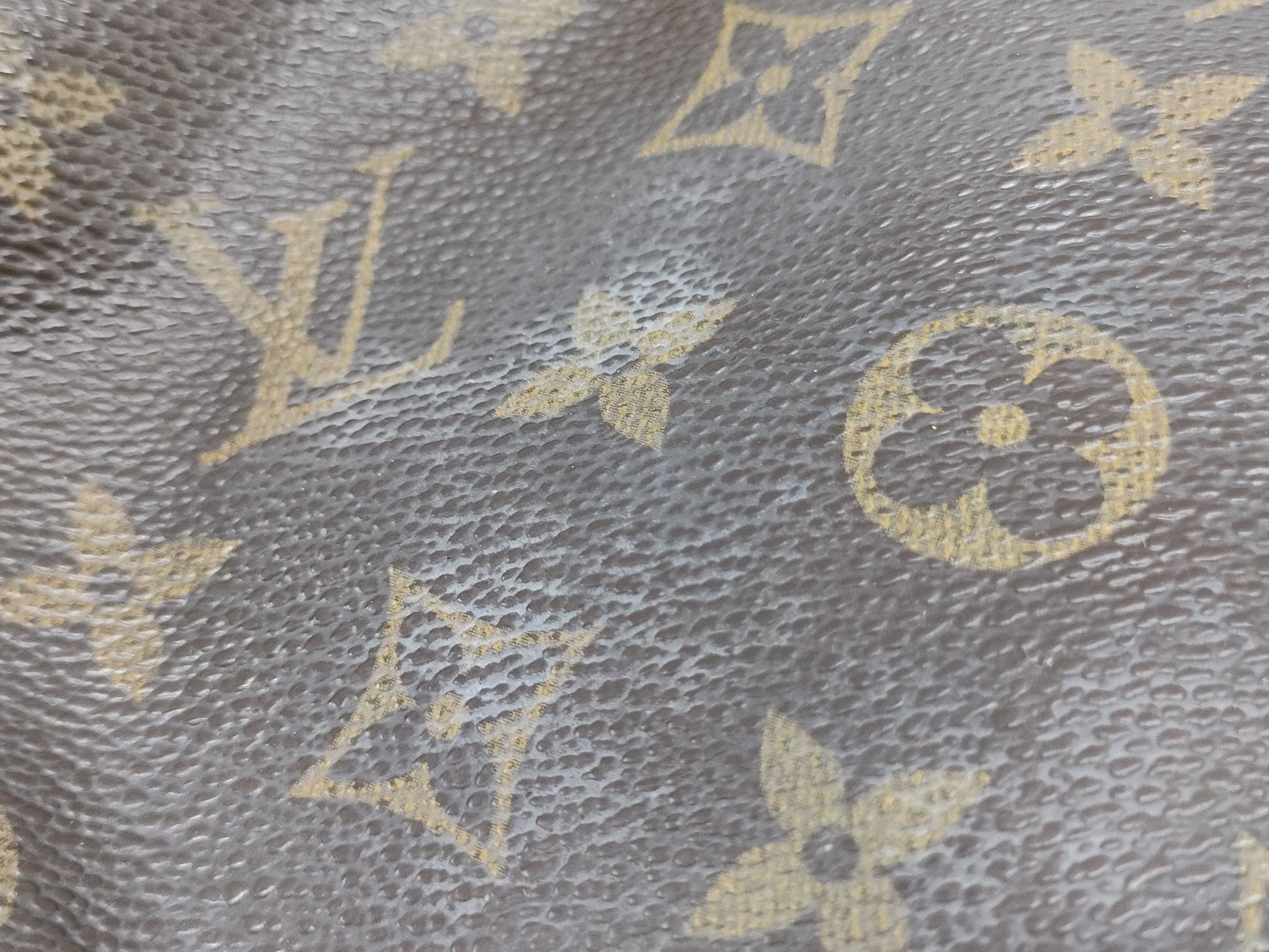 LOUIS VUITTON Monogram Louis Vuitton Bag Pouch