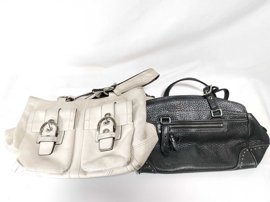 COACH 2-piece handbag