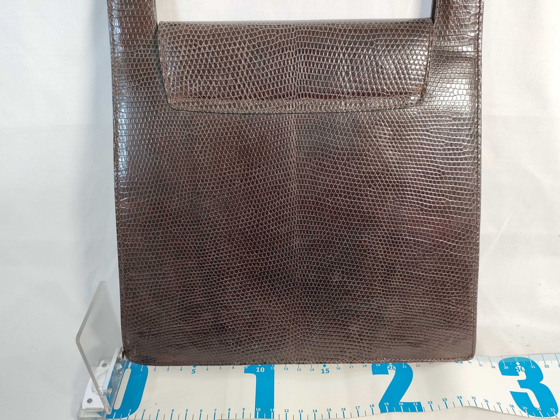 CELINE Circle Logo Handbag in Lizard Brown