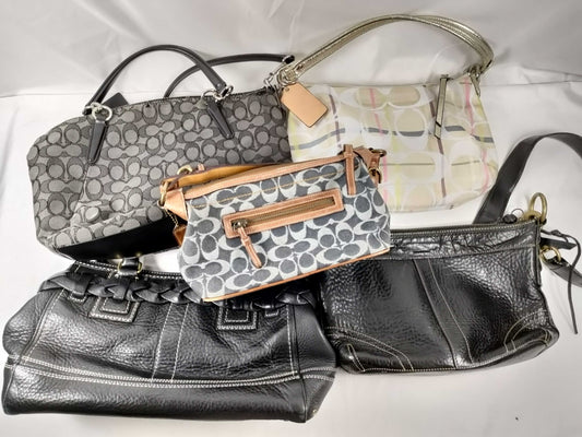 COACH 5-piece handbag set