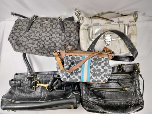 COACH 5-piece handbag set