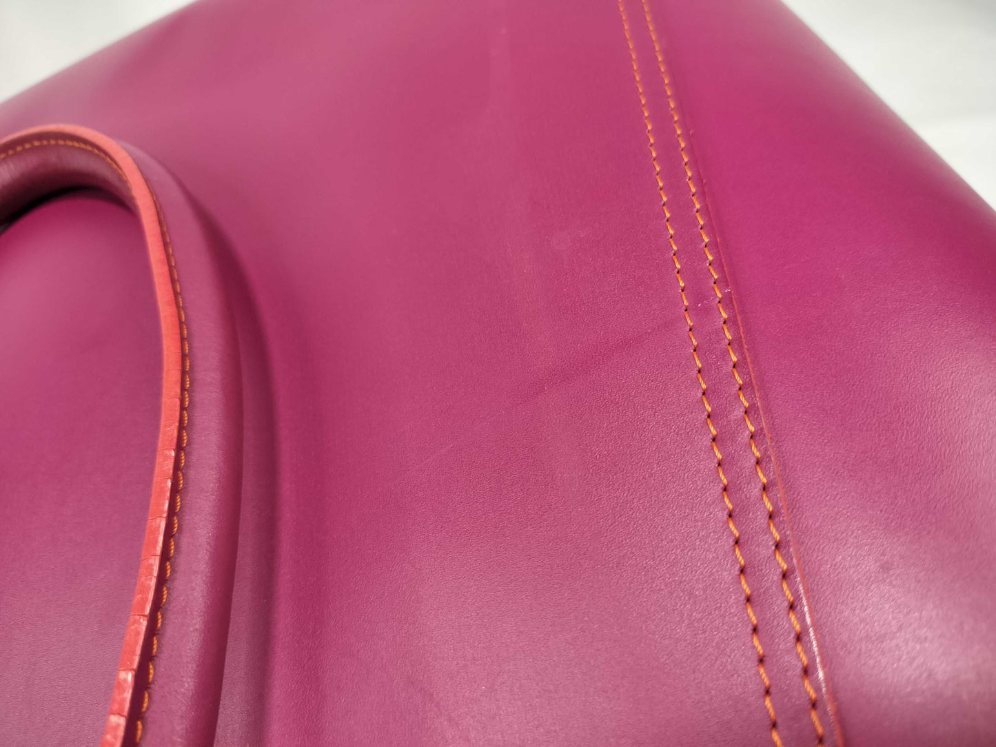LOEWE Leo Tote Bag