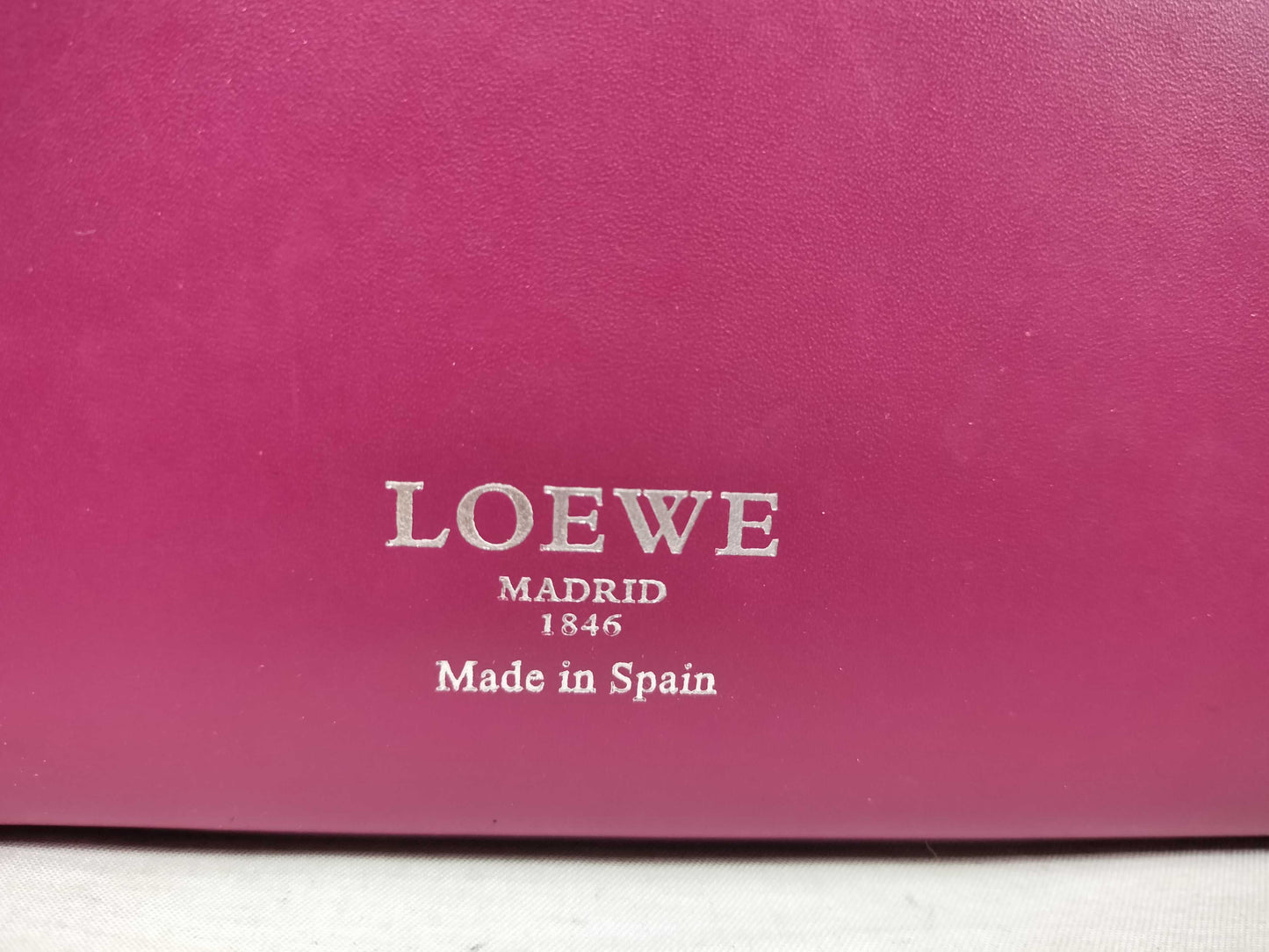 LOEWE Leo Tote Bag