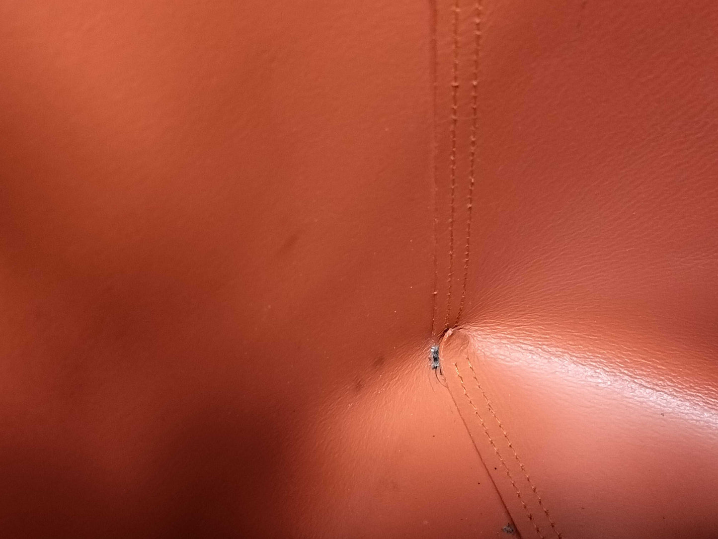 LOEWE Leo Tote Bag