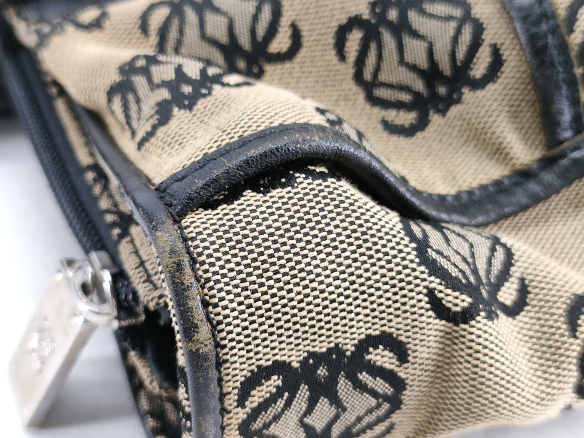 LOEWE Handbag Tote Canvas Anagram Tote Bag