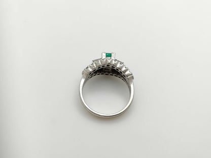 E0.46ct D0.63ct Pt850 6.7g Ring 