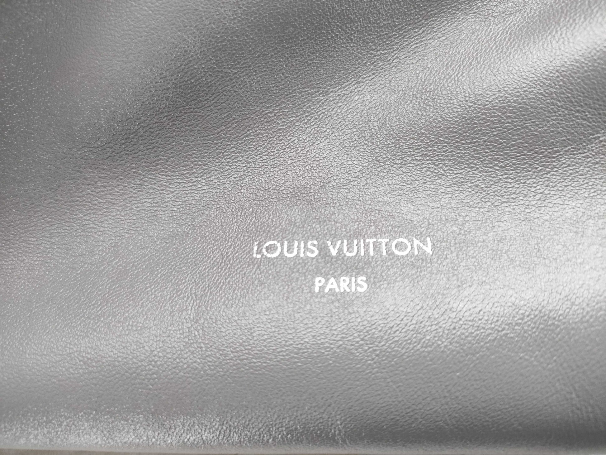 LOUIS VUITTON Carryall Cargo Vibe PM Trianon Gray Handbag