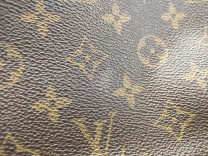 LOUIS VUITTON Monogram Accessory Pouch