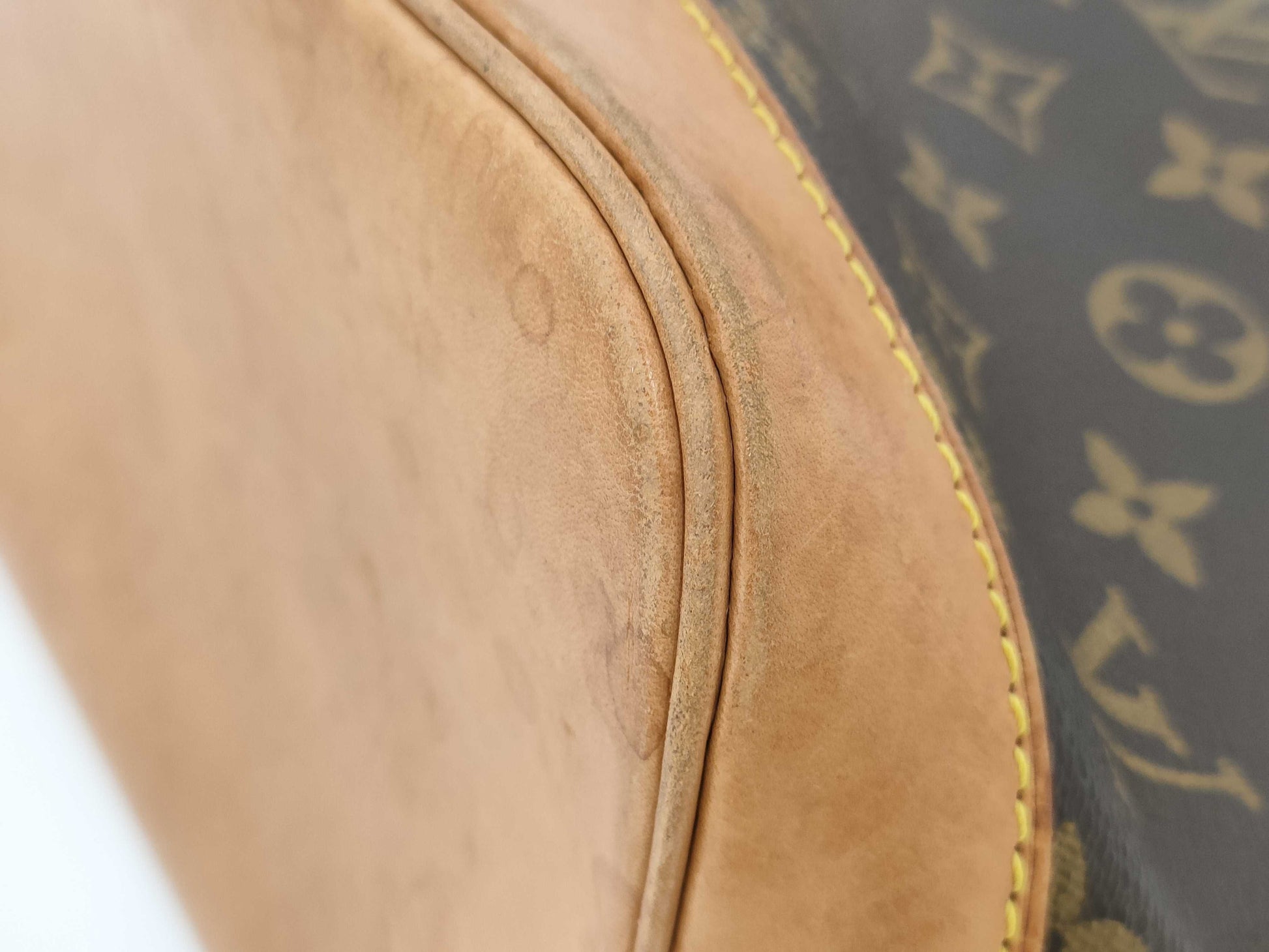 LOUIS VUITTON LOUIS VUITTON LV Monogram Alma PM Handbag Bag