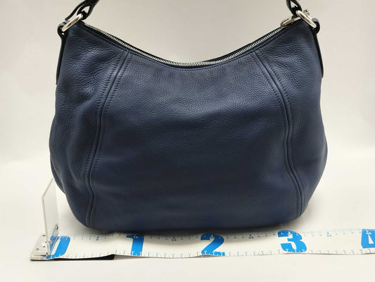 PRADA Prada Buckle Zip Hobo Shoulder Bag in Blue Vitello Dino Leather and Silver, 158