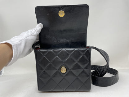 CHANEL Matelasse Shoulder Bag with Coco Mark and Lamb Shoulder Bag