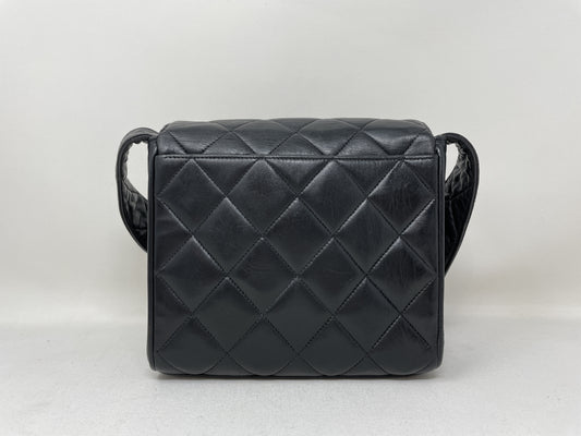 CHANEL Matelasse Shoulder Bag with Coco Mark and Lamb Shoulder Bag