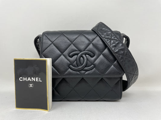 CHANEL Matelasse Shoulder Bag with Coco Mark and Lamb Shoulder Bag